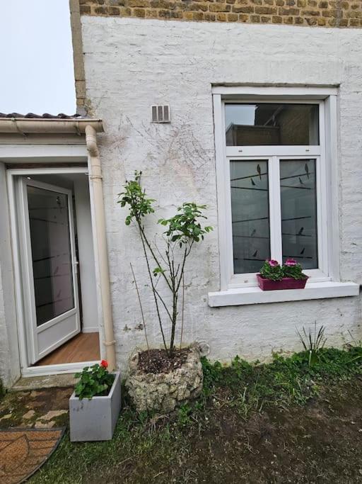 Studio Avec Jardin Rosendael Proche Plage Dunkirk Extérieur photo
